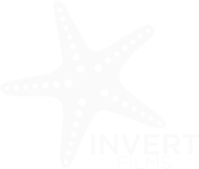 InvertFilms_Logo (white) Watermark